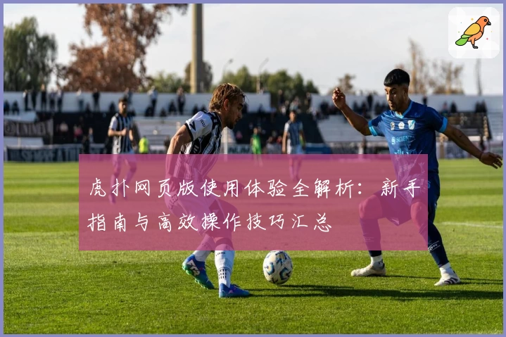 虎扑网页版使用体验全解析：新手指南与高效操作技巧汇总